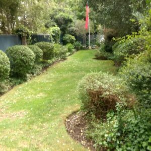 Arriendo espectacular duplex  con patio y piscina privada, Vitacura full